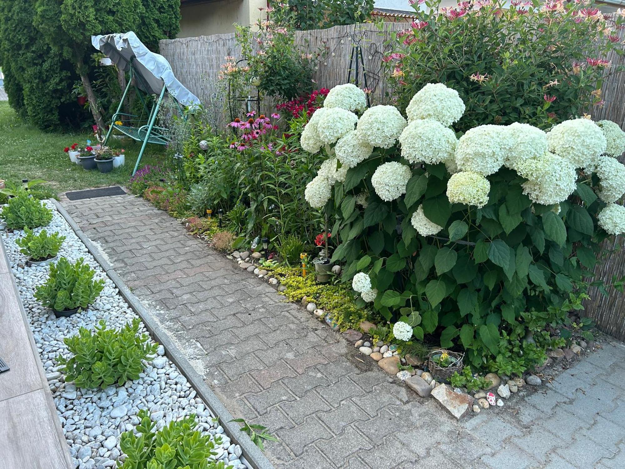 Noemi89 Apartman Siofok Dış mekan fotoğraf